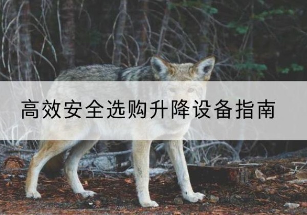 饶阳升降货梯厂家推荐-*安全选购升降设备指南