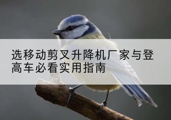 饶阳电动升降机厂家-选移动剪叉升降机厂家与登高车必看实用指南