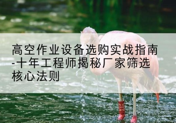 饶阳剪叉式升降机厂家-高空作业设备选购实战指南-十年工程师揭秘厂家筛选核心法则